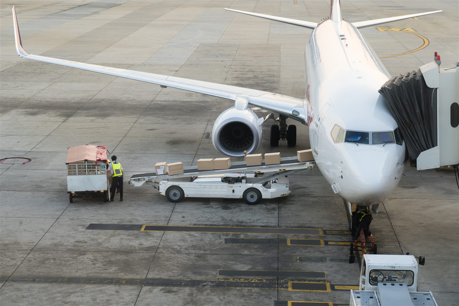 Cargo aircraft loading freight for Europe to India imports